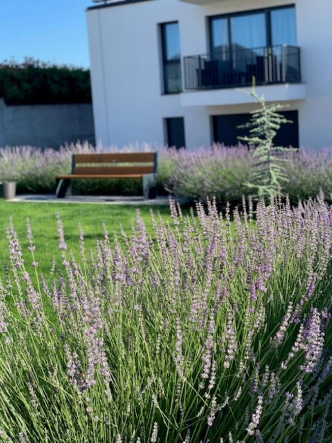 Paskom Apartmanhaz Nyergesujfalu Bagian luar foto